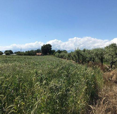Terreno a Sessa aurunca in Via Feroni - Foto 3