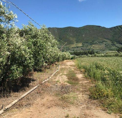 Terreno a Sessa aurunca in Via Feroni - Foto 4