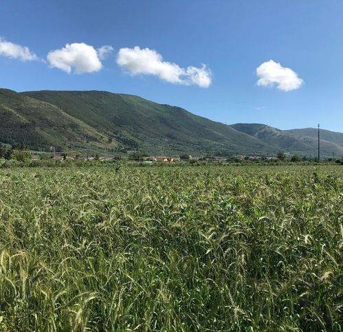 Terreno a Sessa aurunca in Via Feroni - Foto 5