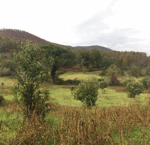 Rustico / casale a Galluccio in Strada Provinciale 145 19 --7 - Foto 3