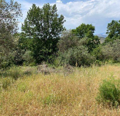 Rustico / casale a Sessa aurunca in Santa Maria Valogno - Foto 5