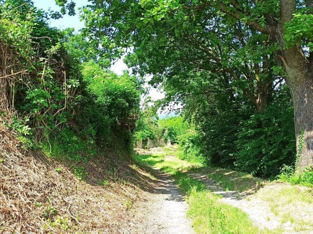 Terreno a Felino in Via Ricò, 31 - Foto 2
