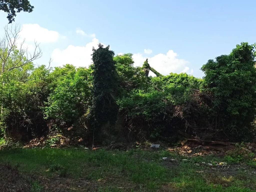 Terreno a Felino in Via Ricò, 31 - Foto 5