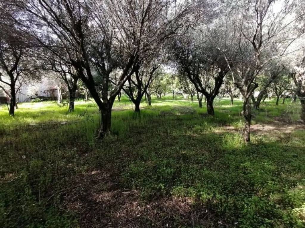 Terreno a Nocera inferiore in Via Giovanni Pascoli, 3 - Foto 2