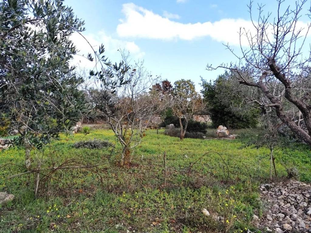 Terreno a Ostuni in Contrada Cervarolo No Number - Foto 2
