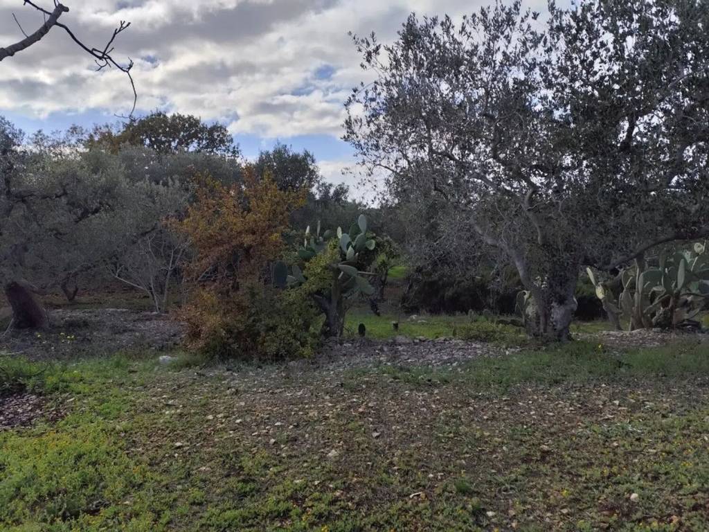Terreno a Ostuni in Contrada Cervarolo No Number - Foto 5
