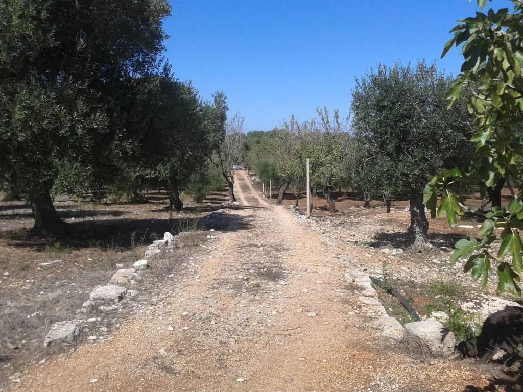 Rustico / casale a Ostuni in S. .P. 29 No Number - Foto 2