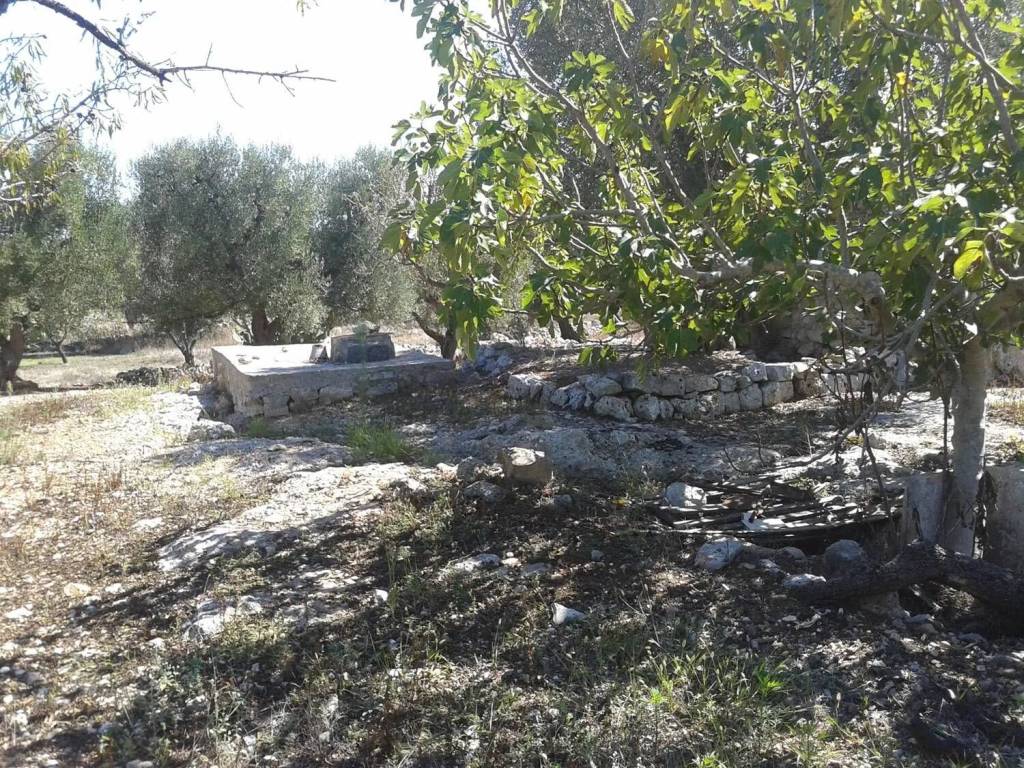 Rustico / casale a Ostuni in S. .P. 29 No Number - Foto 3