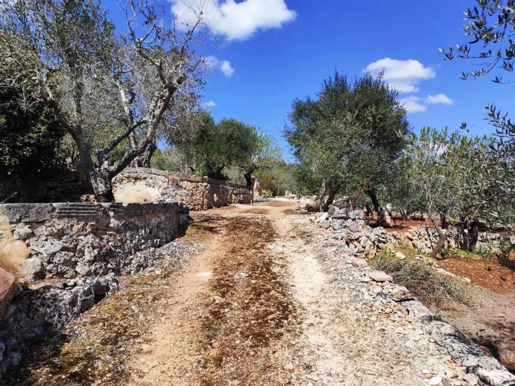 Rustico / casale a Ostuni in Contrada Cervarolo - Foto 4