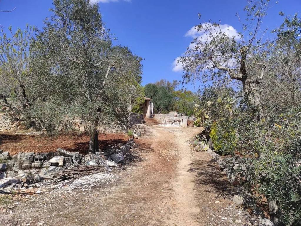 Rustico / casale a Ostuni in Contrada Cervarolo - Foto 5