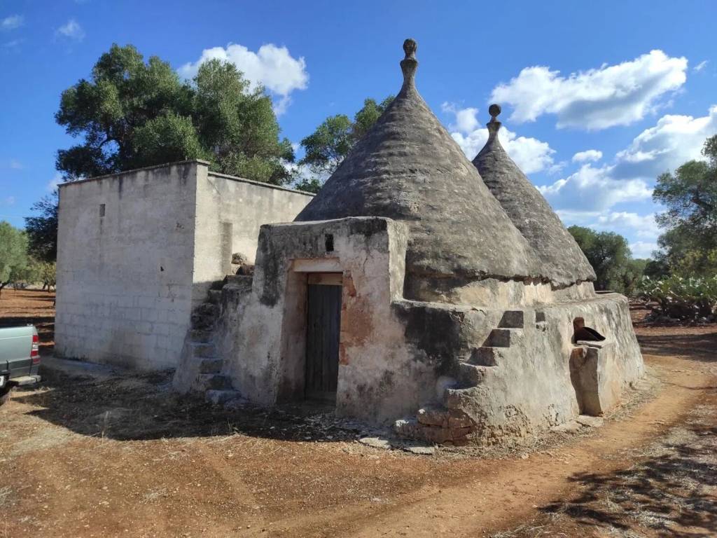 Rustico / casale a Ostuni in Piana Degli Ulivi No Number - Foto 2