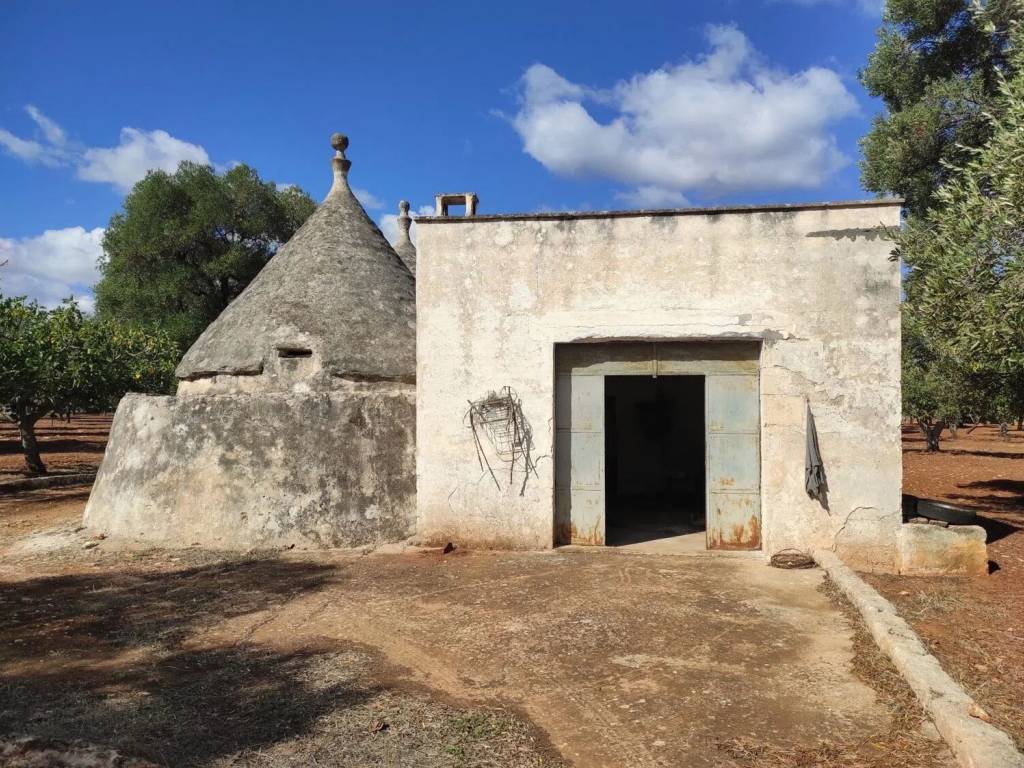 Rustico / casale a Ostuni in Piana Degli Ulivi No Number - Foto 3