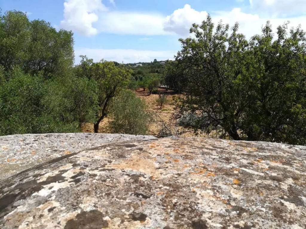 Rustico / casale a Ostuni in Colline Di Ostuni No Number - Foto 4