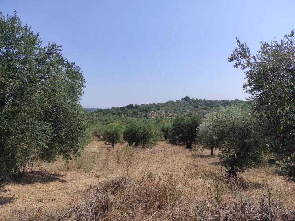 Rustico / casale a Ostuni in Cavallerizza No Number - Foto 2