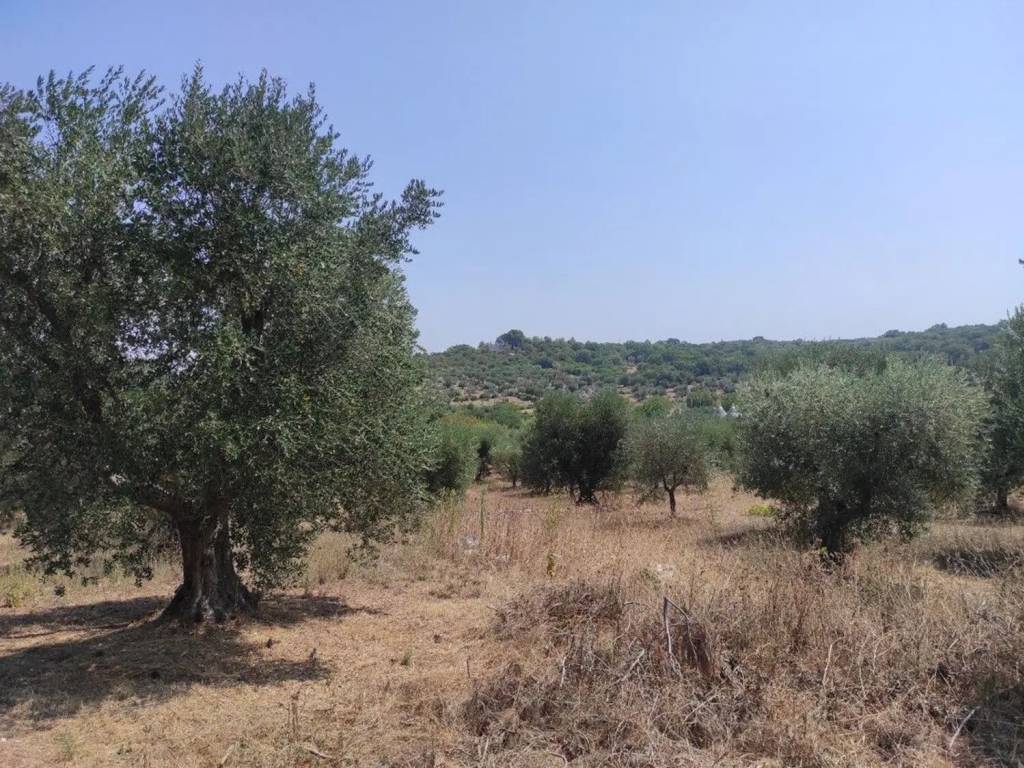 Rustico / casale a Ostuni in Cavallerizza No Number - Foto 3