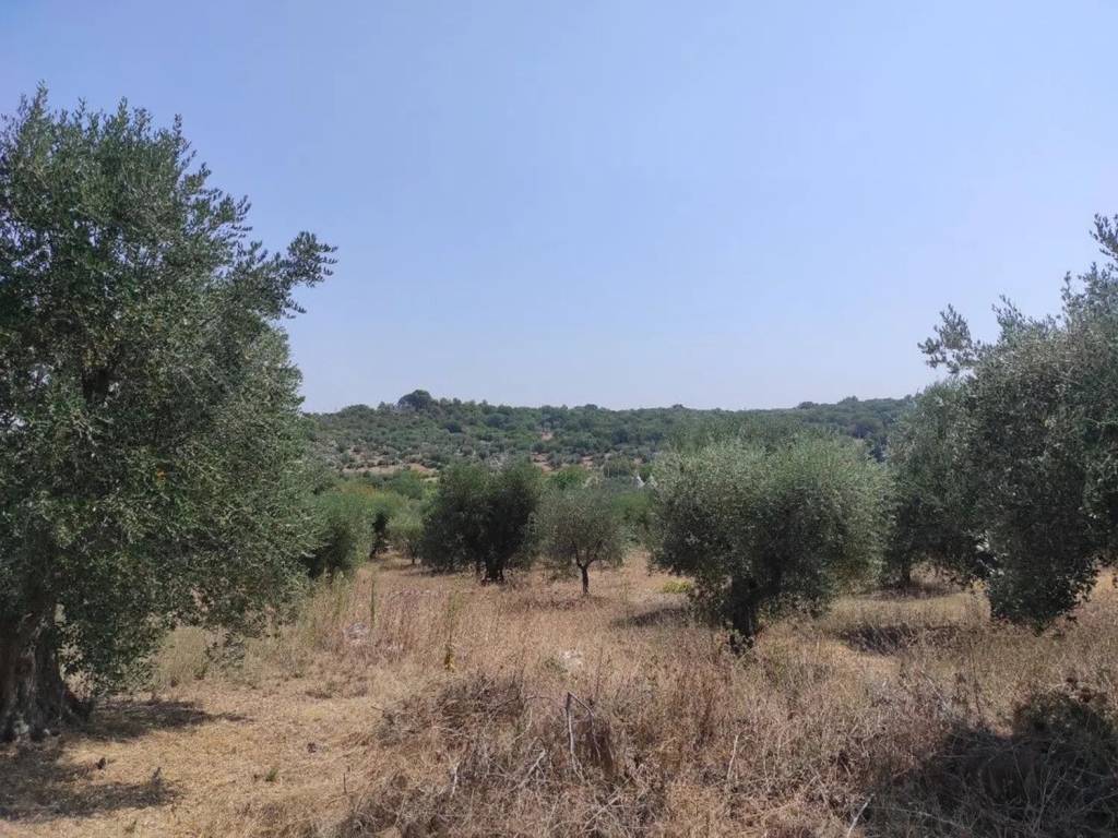 Rustico / casale a Ostuni in Cavallerizza No Number - Foto 4