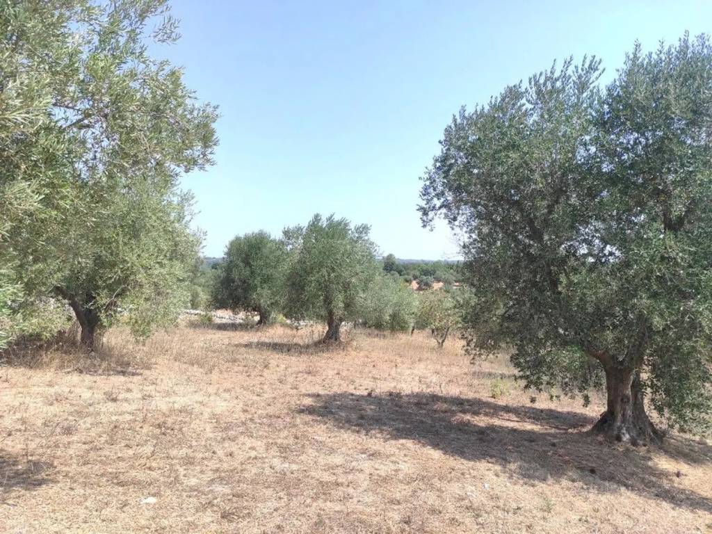 Rustico / casale a Ostuni in Cavallerizza No Number - Foto 5