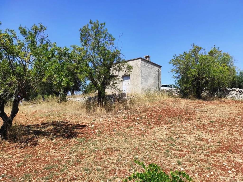 Rustico / casale a Ostuni in Contrada Cervarolo - Foto 3
