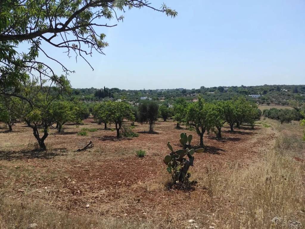 Rustico / casale a Ostuni in Contrada Cervarolo - Foto 4