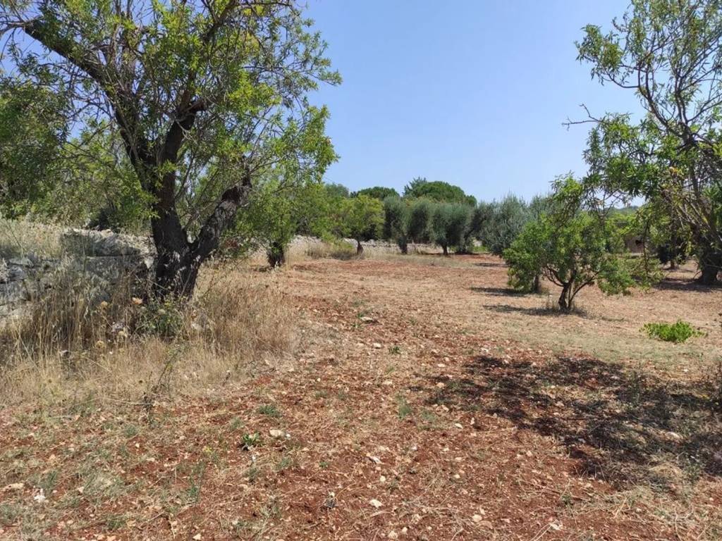Rustico / casale a Ostuni in Contrada Cervarolo - Foto 5