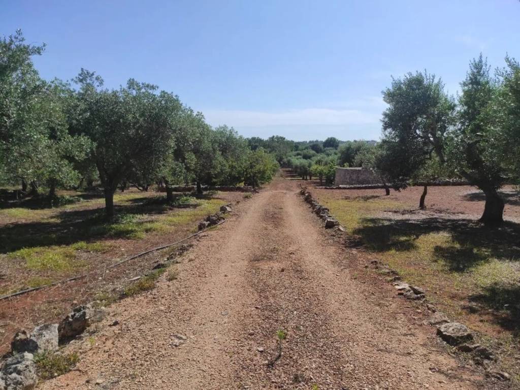 Rustico / casale a Ostuni in Contrada Minchiullo No Number - Foto 2