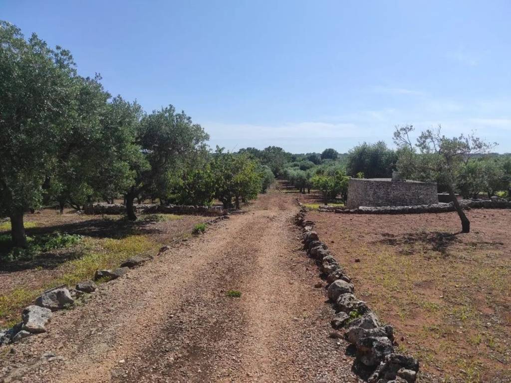 Rustico / casale a Ostuni in Contrada Minchiullo No Number - Foto 3
