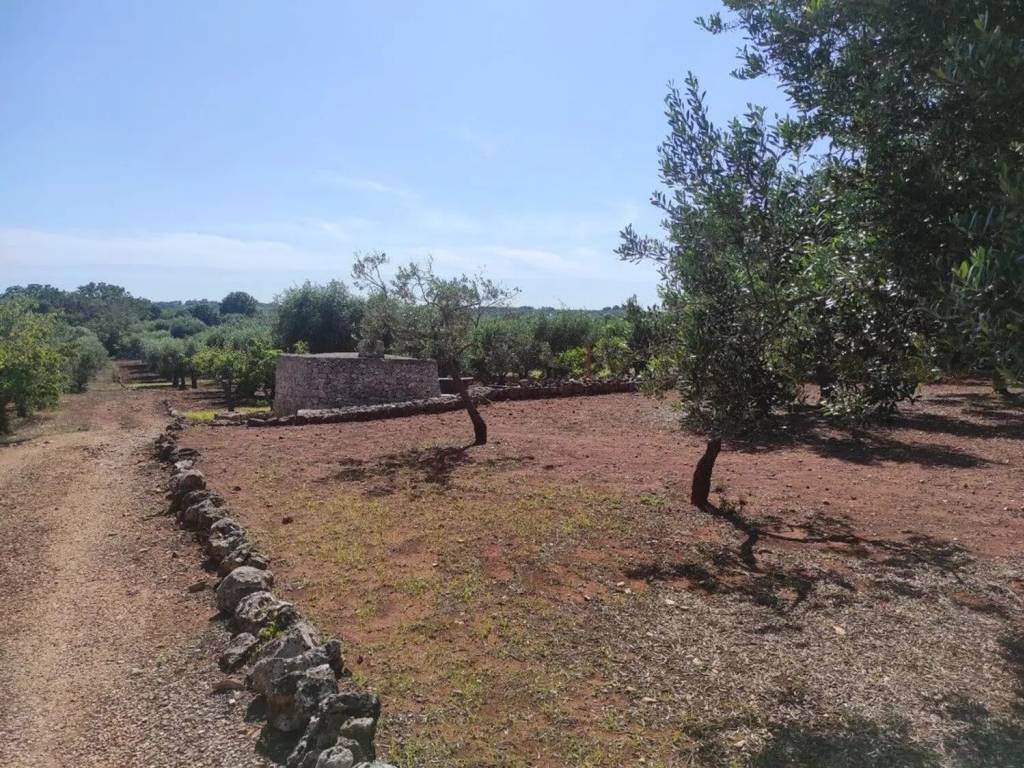Rustico / casale a Ostuni in Contrada Minchiullo No Number - Foto 5