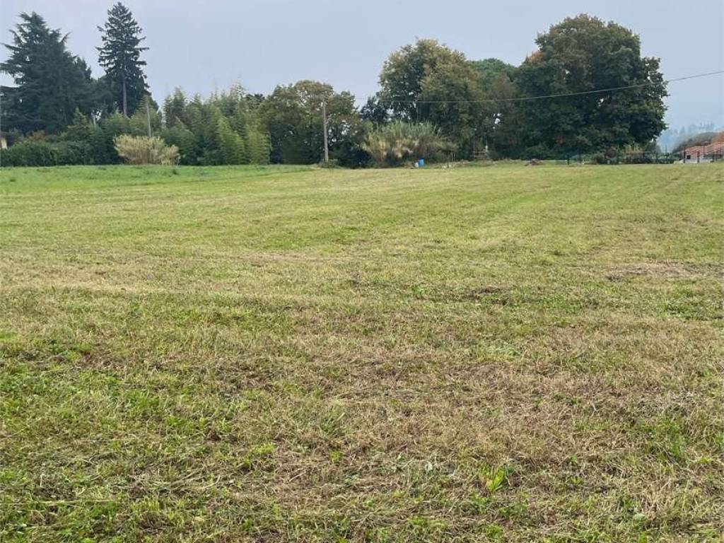 Terreno a Albavilla - Foto 5