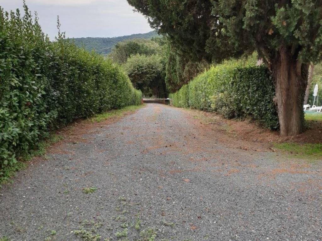 Rustico / casale a Rosignano marittimo - Foto 3