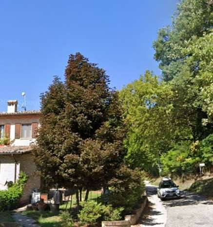 Appartamento a Urbino in Via dei Molinelli - Foto 4