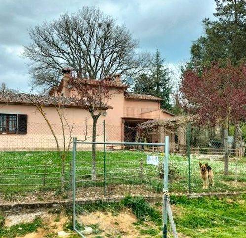 Rustico / casale a Città della pieve - Foto 3