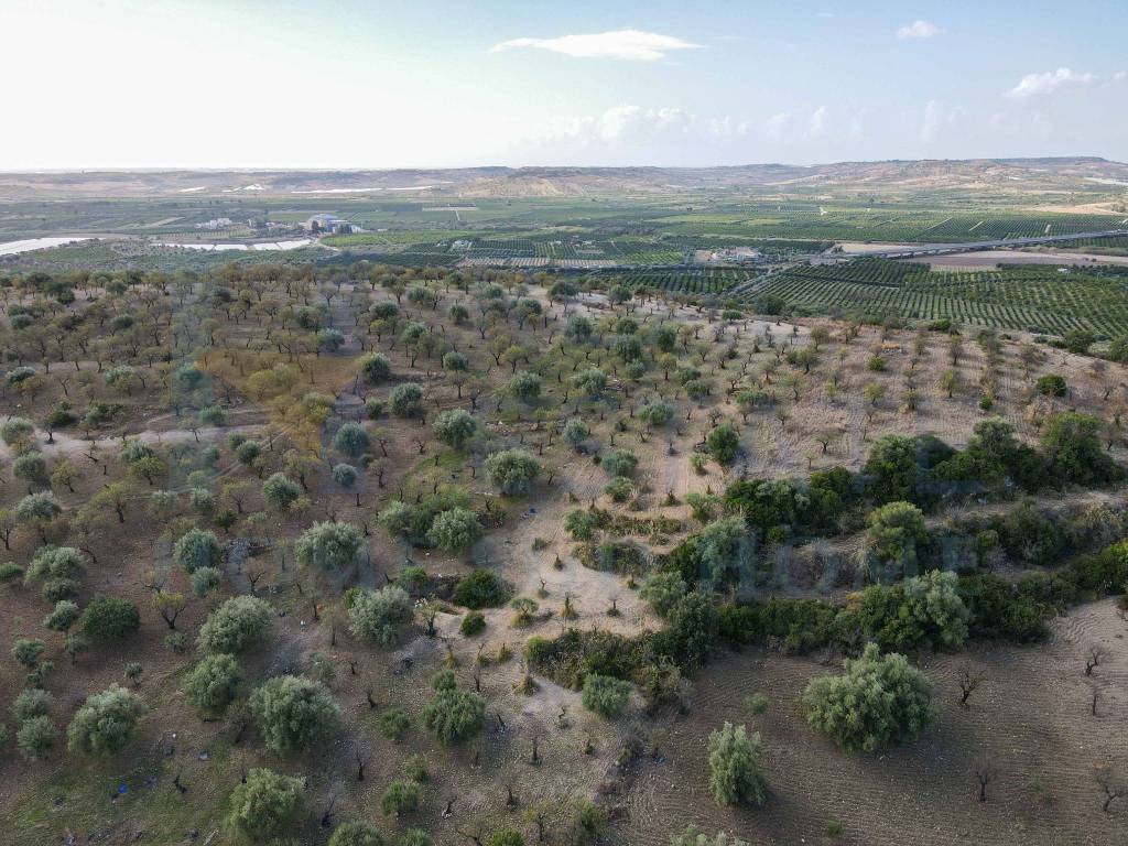 Terreno a Noto in Via Tommaso Fazello, 228 - Foto 3