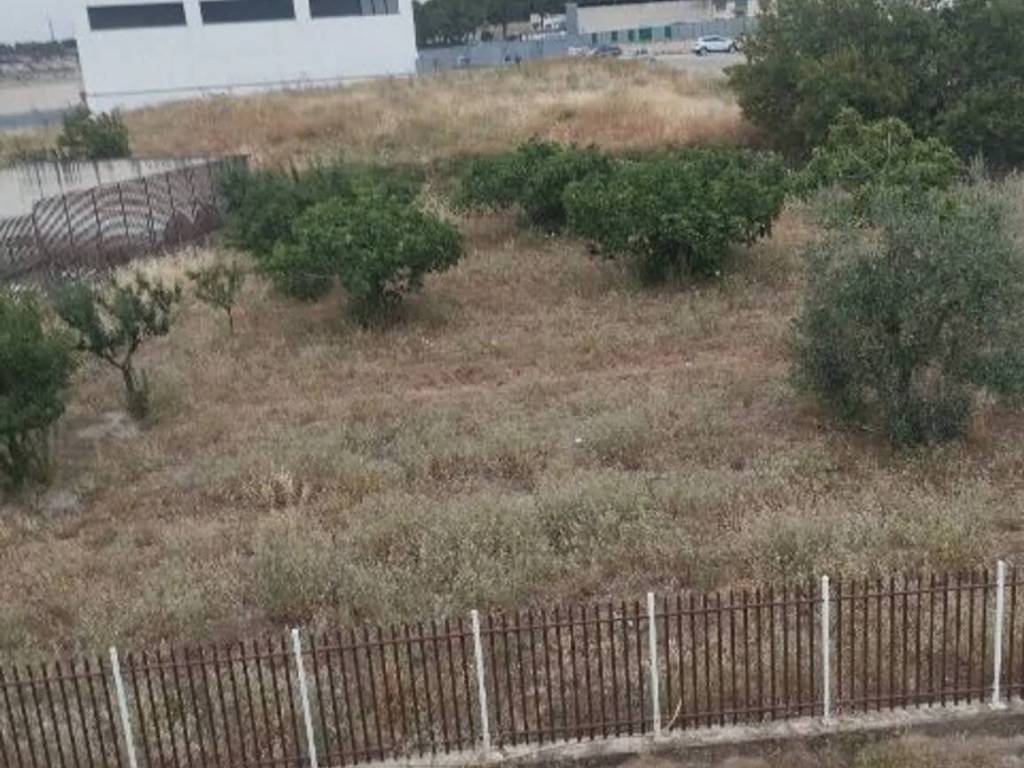 Immobile a Corato in Via G.Gigante No Number - Foto 2