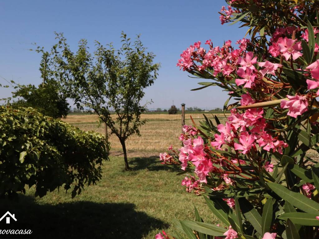 Villa a Correggio in Via Nespolo - Foto 3