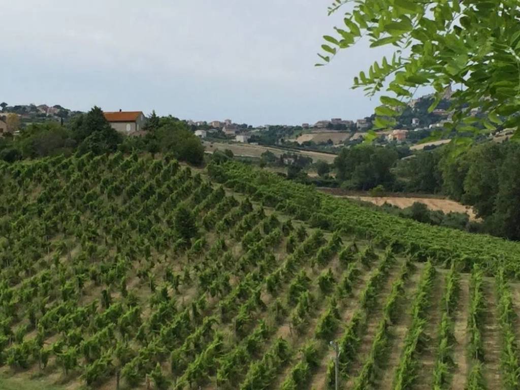 Terreno a Sant'elpidio a mare in Strada Comunale Pozzetto, 2612 - Foto 2