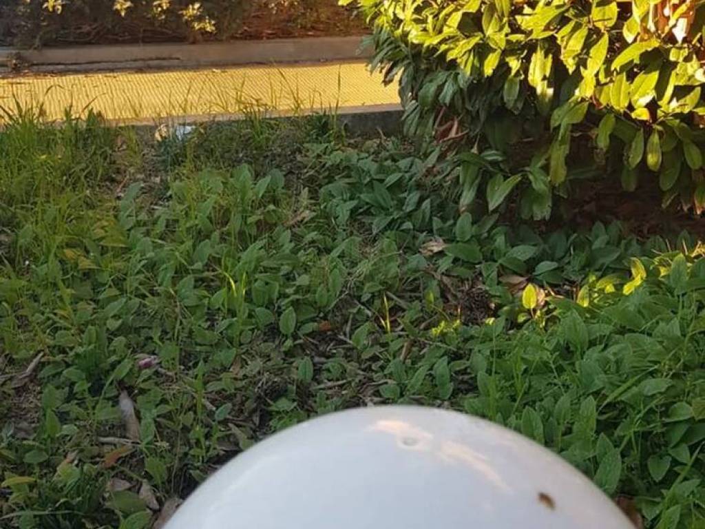 Immobile a Porto sant'elpidio in Via Xx Settembre No Number - Foto 2