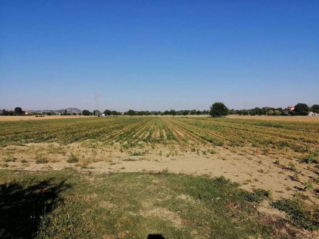 Rustico / casale a Sant'elpidio a mare in Strada Lungo Chienti No Number - Foto 3