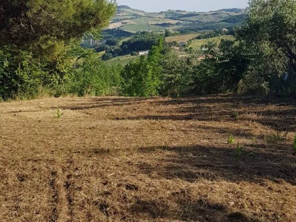 Rustico / casale a Fermo in Contrada Montone, 169 - Foto 4