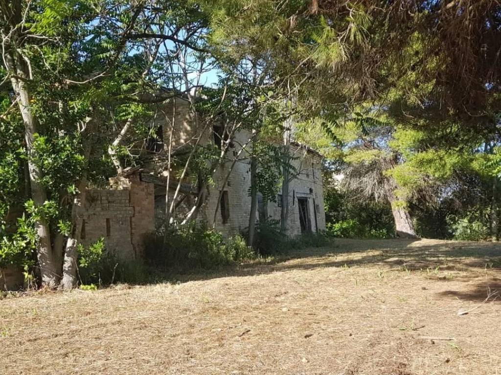 Rustico / casale a Fermo in Contrada Montone, 169 - Foto 5