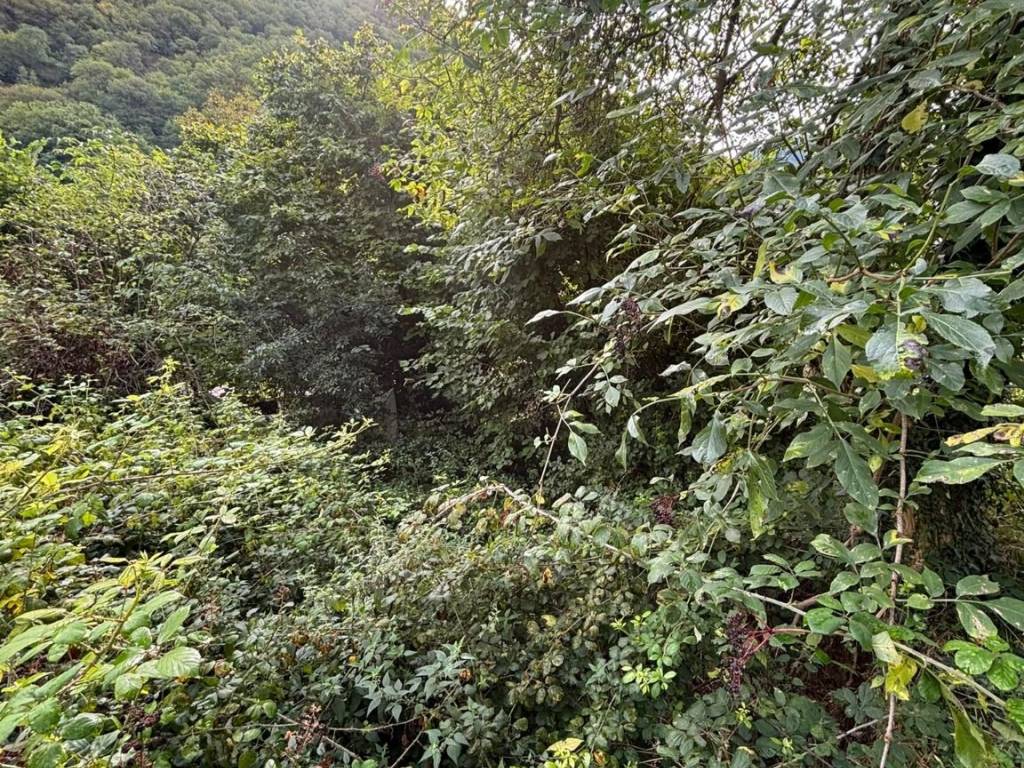 Terreno a Sefro in Via Pietro Gori - Foto 3