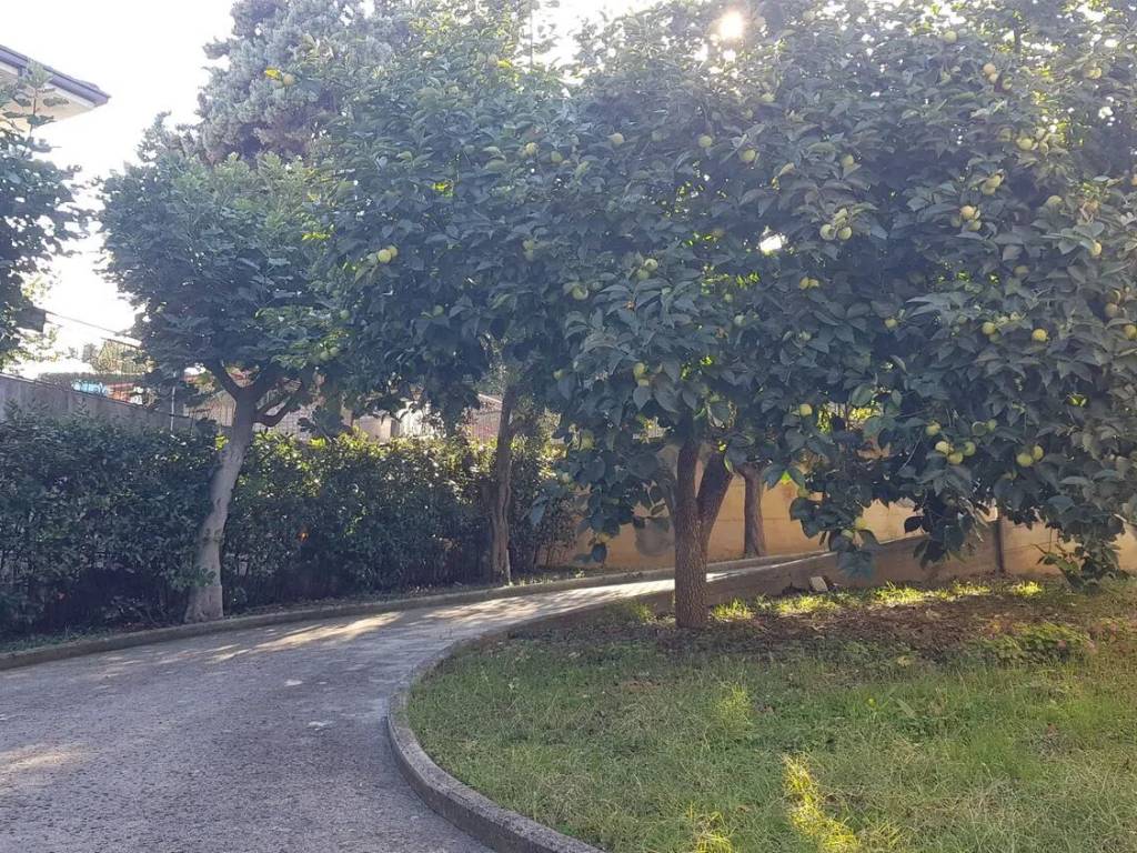 Villa a Montecosaro in Via Monte Della Giustizia No Number - Foto 5