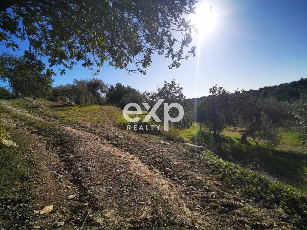 Terreno a Rosolini - Foto 2