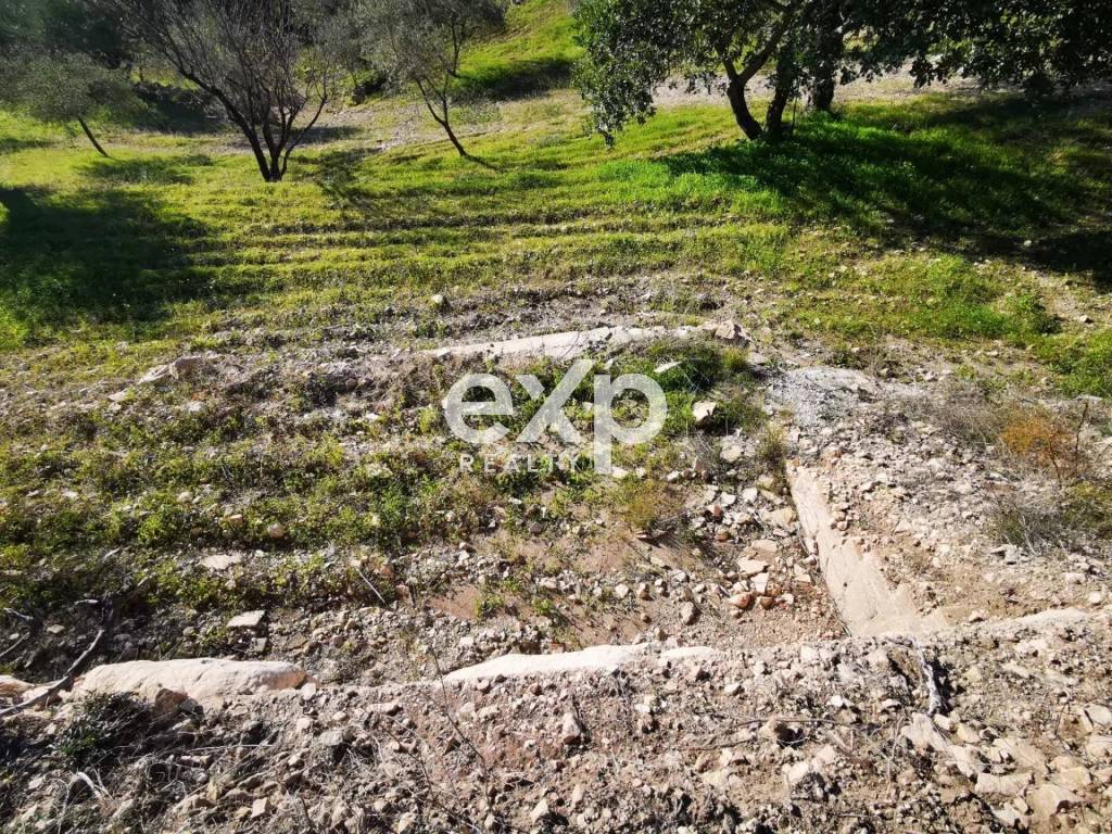 Terreno a Rosolini - Foto 3