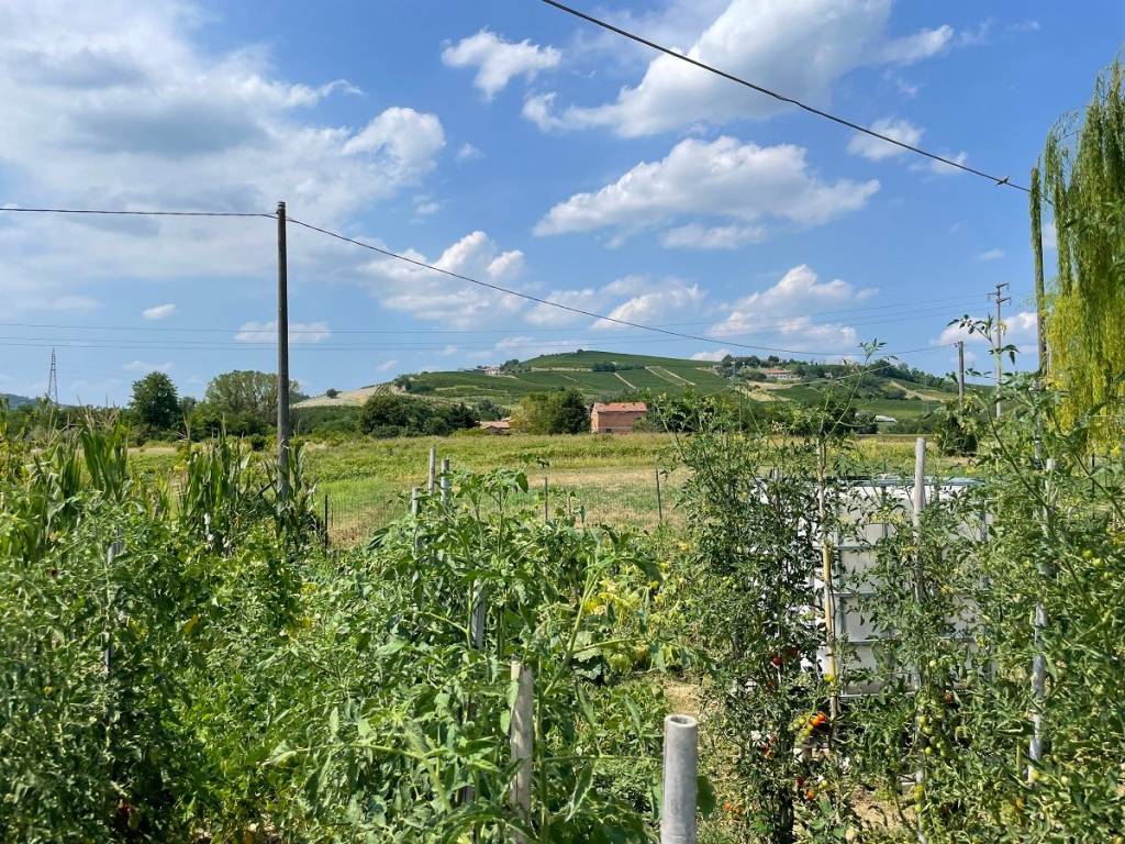Rustico / casale a Calamandrana in Frazione Quartino, 28 - Foto 2