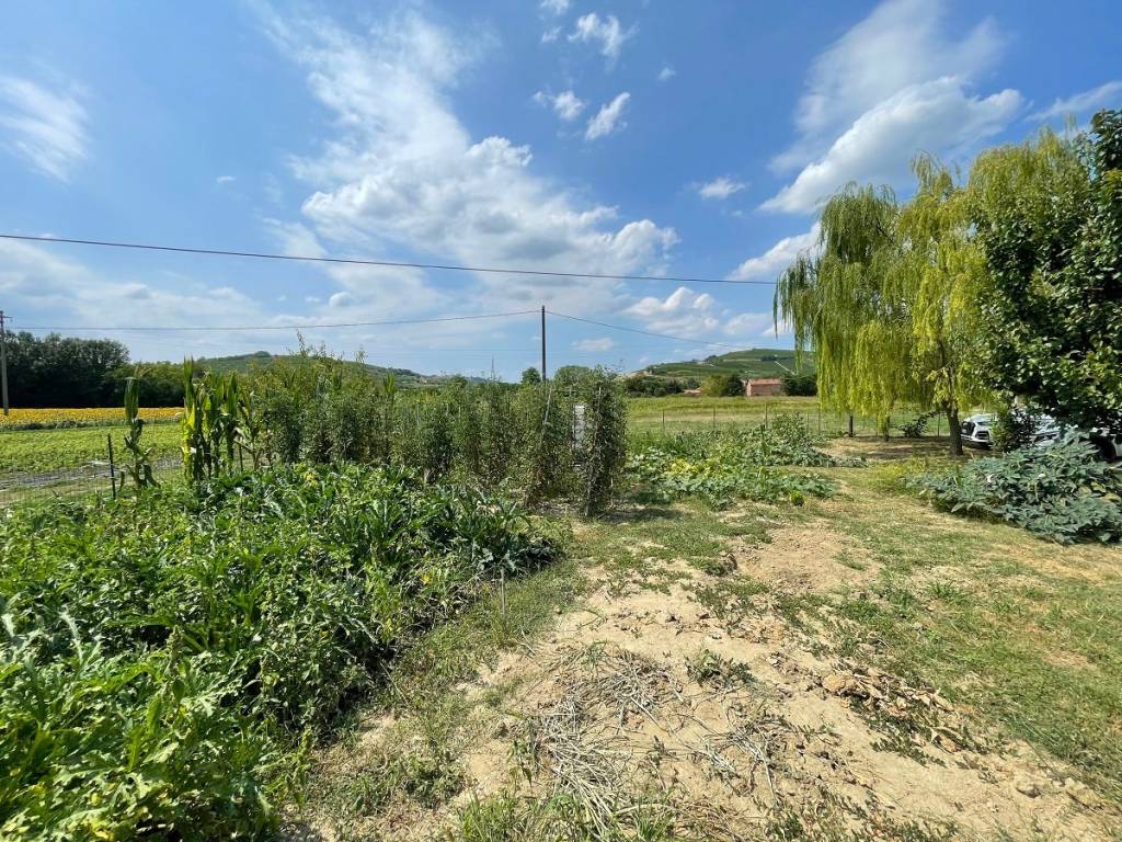 Rustico / casale a Calamandrana in Frazione Quartino, 28 - Foto 5