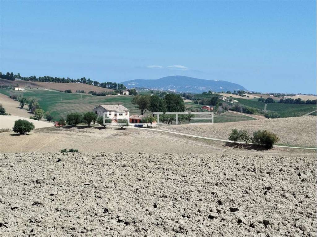 Rustico / casale a Recanati - Foto 4