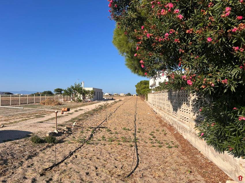 Rustico / casale a Margherita di savoia in S. P. 141 delle Saline - Foto 2