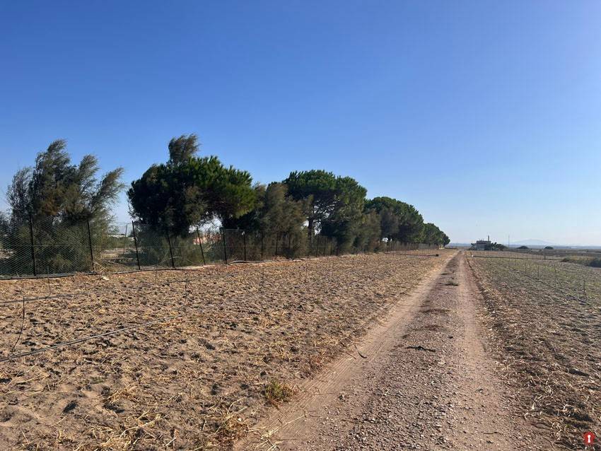 Rustico / casale a Margherita di savoia in S. P. 141 delle Saline - Foto 3