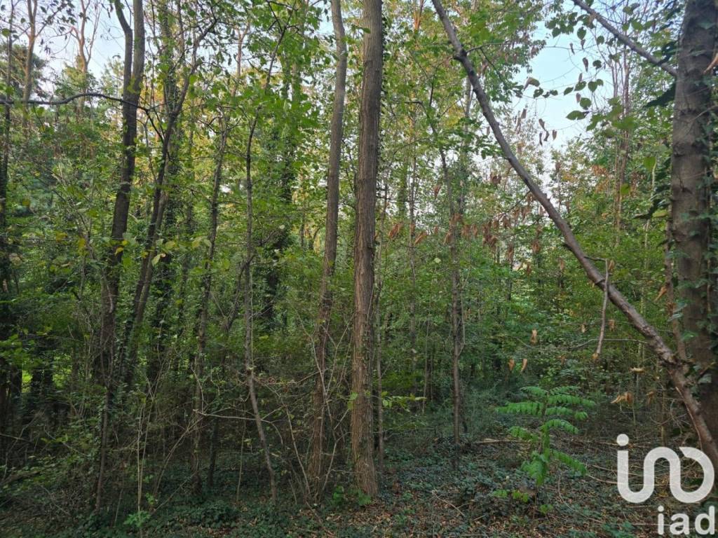 Terreno a Rivoli in Strada fornas - Foto 2