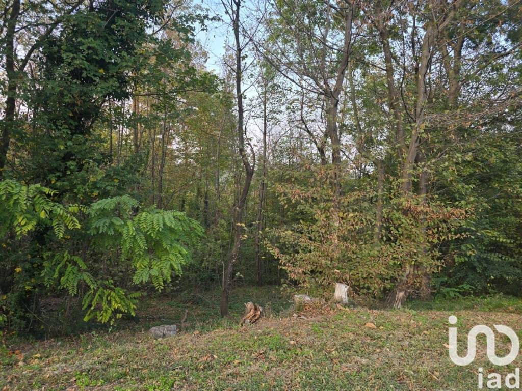 Terreno a Rivoli in Strada fornas - Foto 3